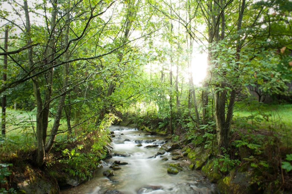 Naturhotel Ortners Eschenhof Bad Kleinkirchheim Kültér fotó